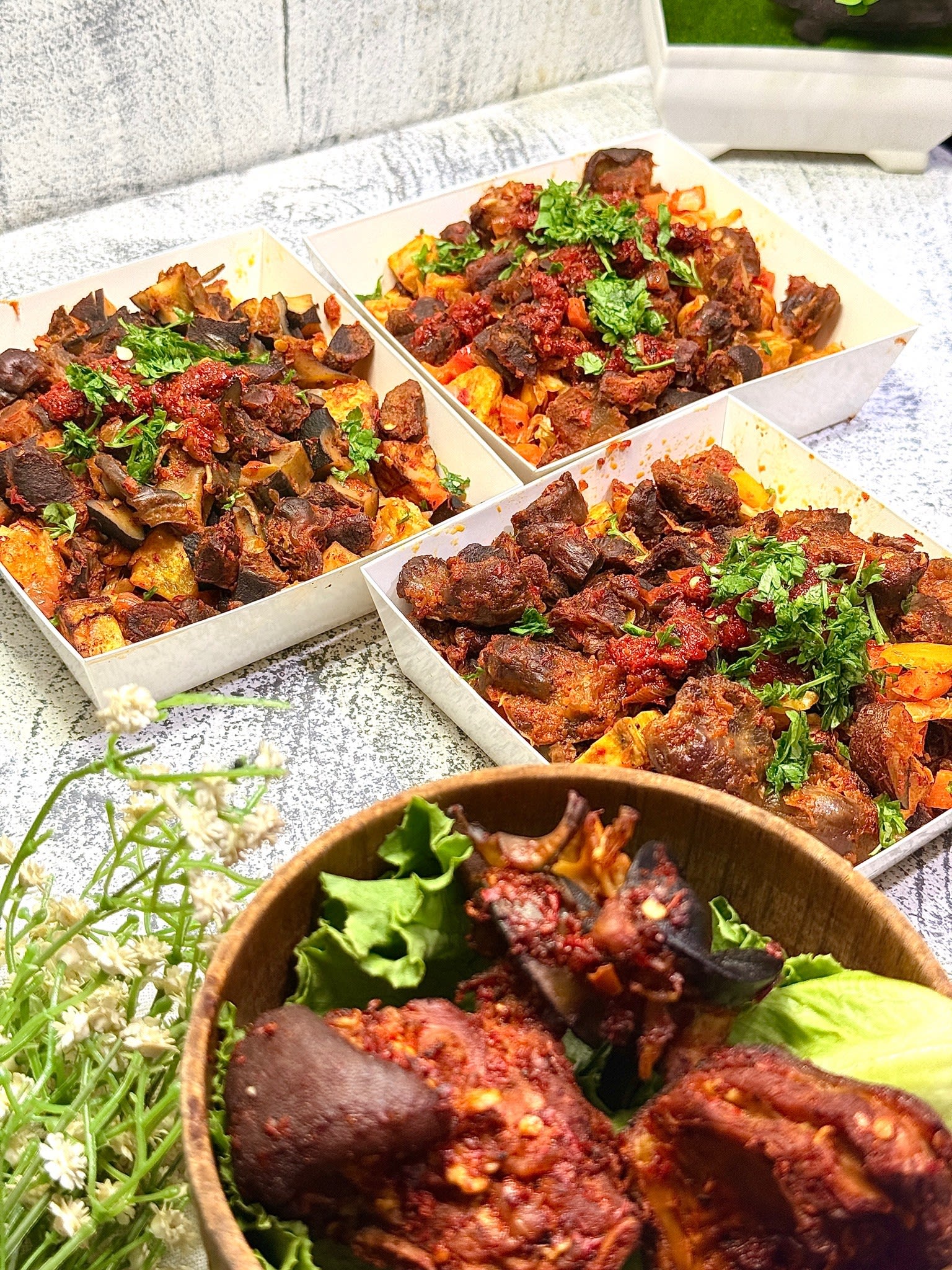 Spicy Snail Dodo