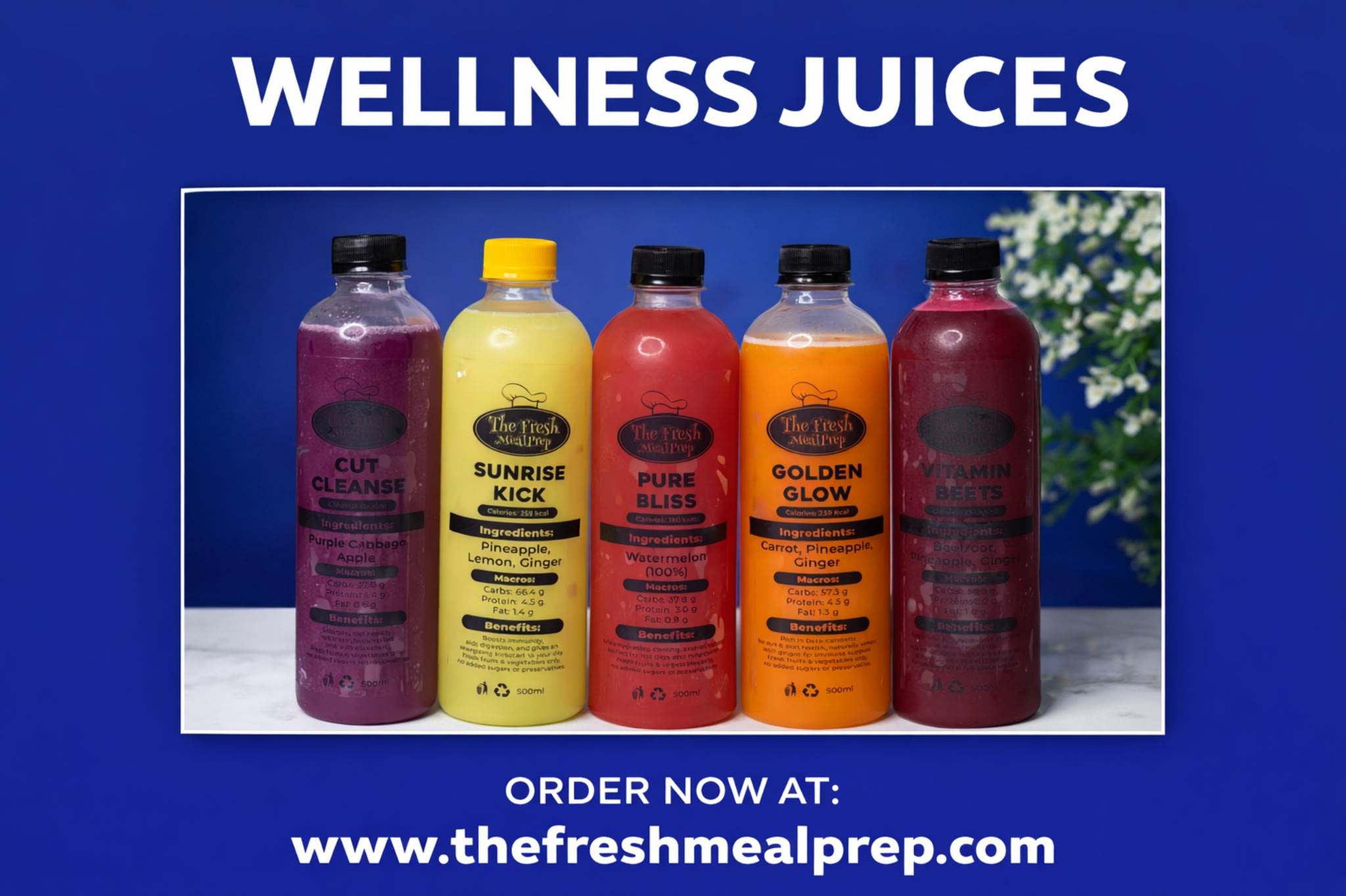 WELLNESS JUICE & SMOOTHIE PLAN